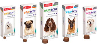 bravecto_orig dog