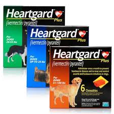 imagesx7dycjw1_orig heartworm prevention