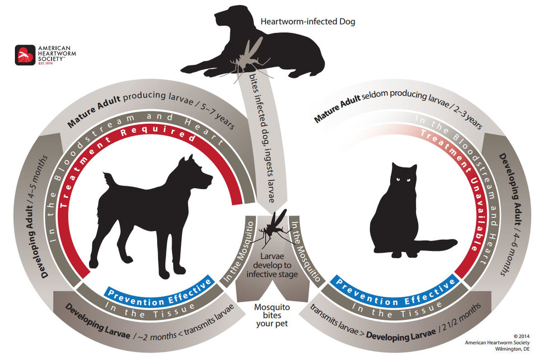 life-cycle-large_orig