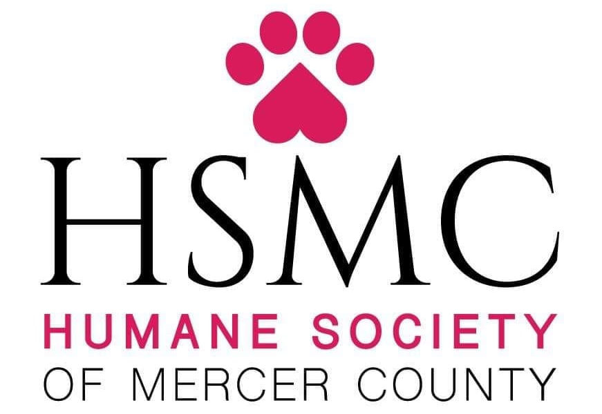 mchs_orig