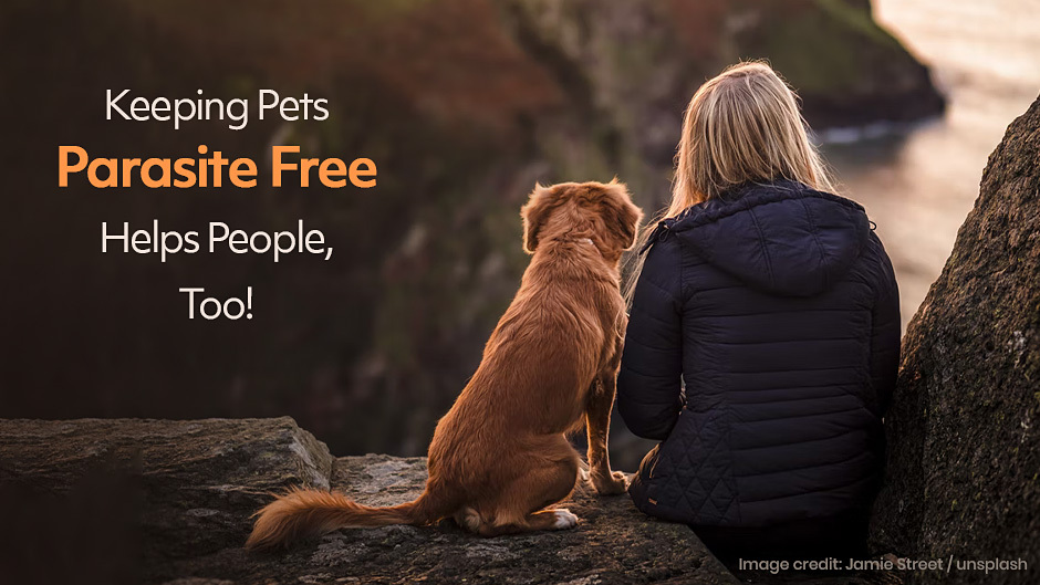 image of a woman sitting with her dog
